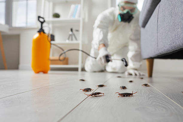 Post-Treatment Bed Bug Interceptor Monitoring in Muncy