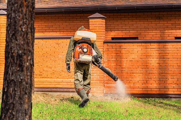 Bed Bug Clearance Verification and Documentation in Muncy